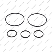 Комплект уплотнительных колец (5шт.)