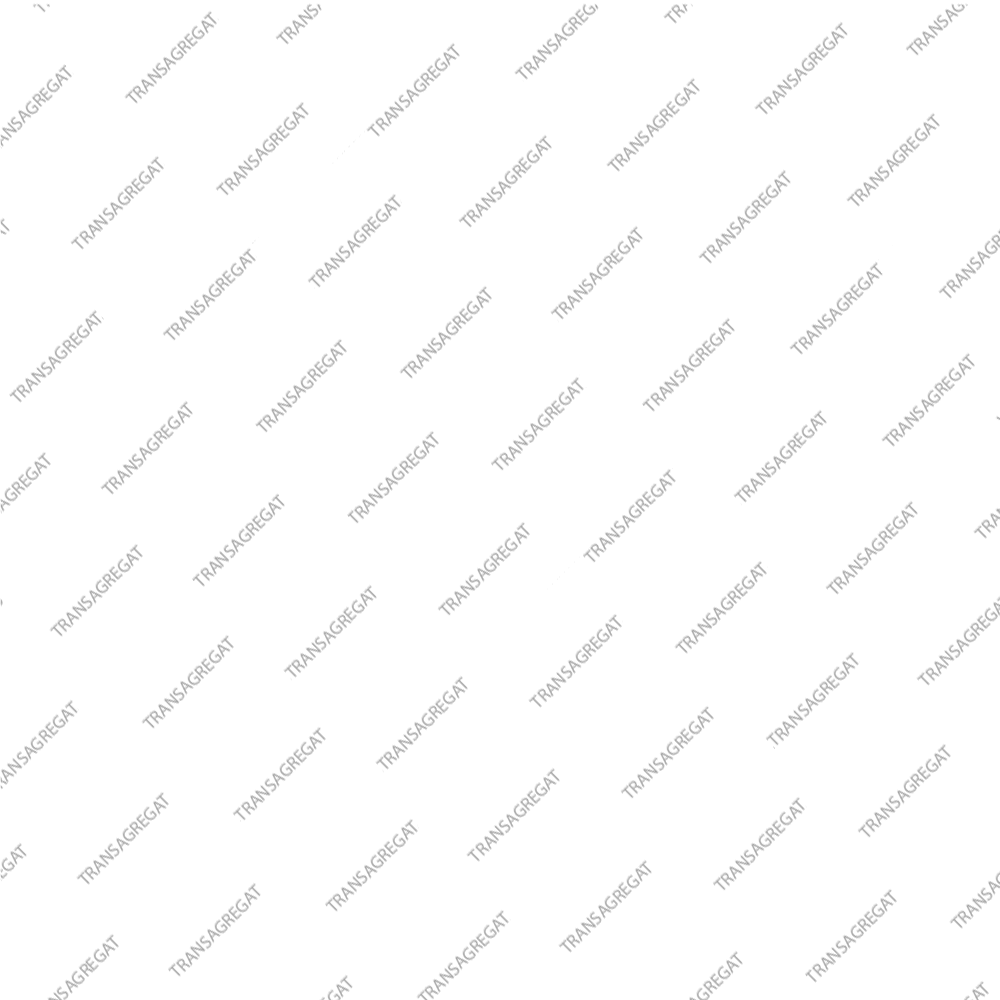 Уплотнительное кольцо гидротрансформатора (OD 70mm)