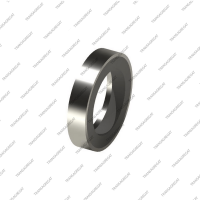 Сальник гидротрансформатора (17x25x5.0)