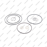 Комплект уплотнительных колец (11шт.)*