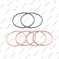 Комплект уплотнительных колец (6шт.)