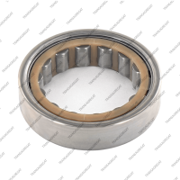 Подшипник ведомого шкива задний, входного вала (43x66x17.0, роликовый)*