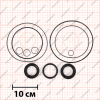 Комплект прокладок и сальников (с уплотнительными кольцами)*