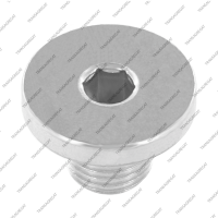 Пробка поддона сливная