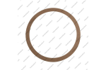 Фрикционное кольцо гидротрансформатора (229x210x1.7)