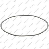 Пружинный диск Low/Reverse