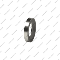 Сальник гидротрансформатора (19x26x4.0)